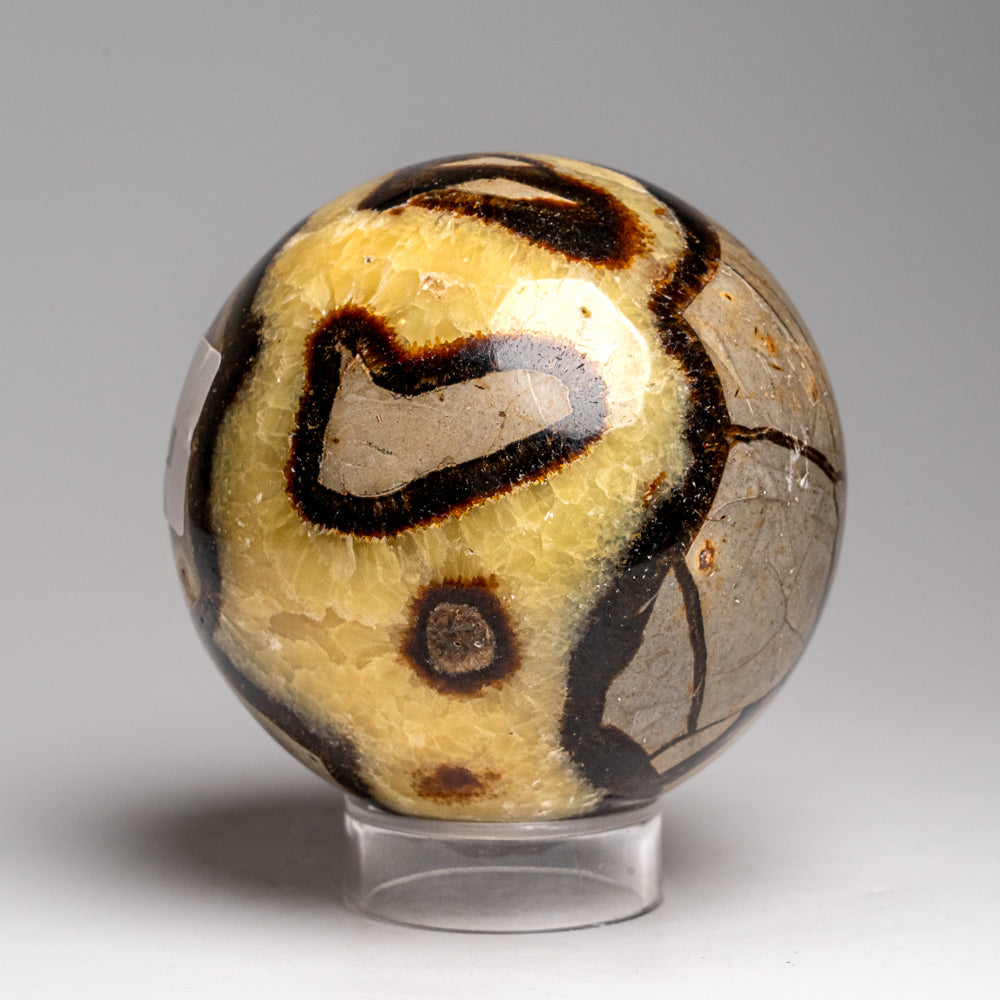 Genuine Polished Septarian Sphere from Madagascar (2.5 lbs)