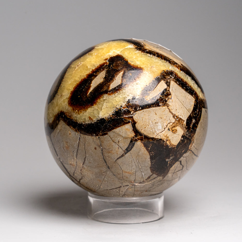 Genuine Polished Septarian Sphere from Madagascar (2.5 lbs)