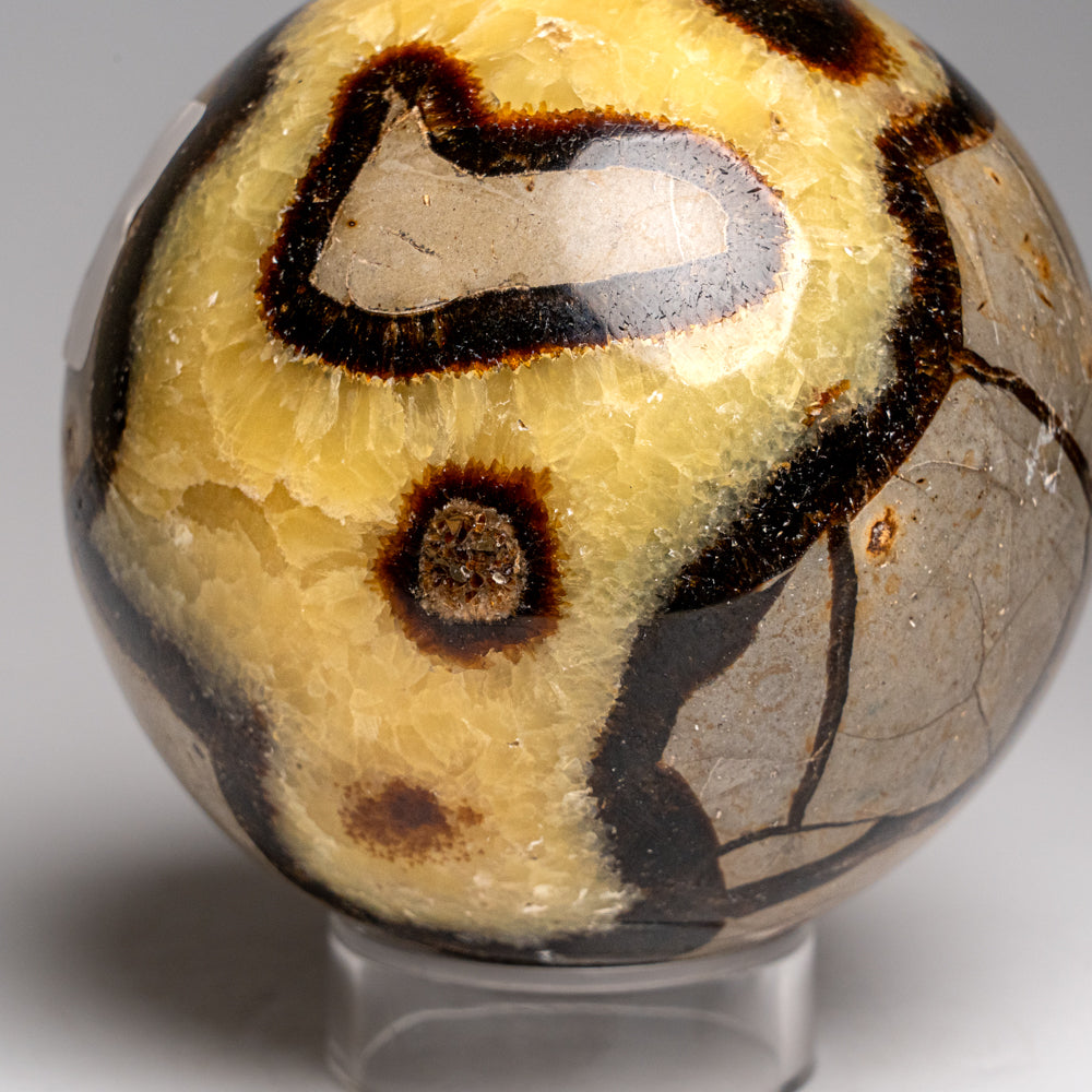 Genuine Polished Septarian Sphere from Madagascar (2.5 lbs)