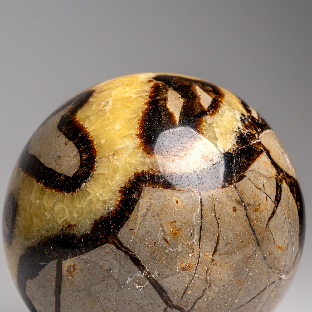 Genuine Polished Septarian Sphere from Madagascar (2.5 lbs)