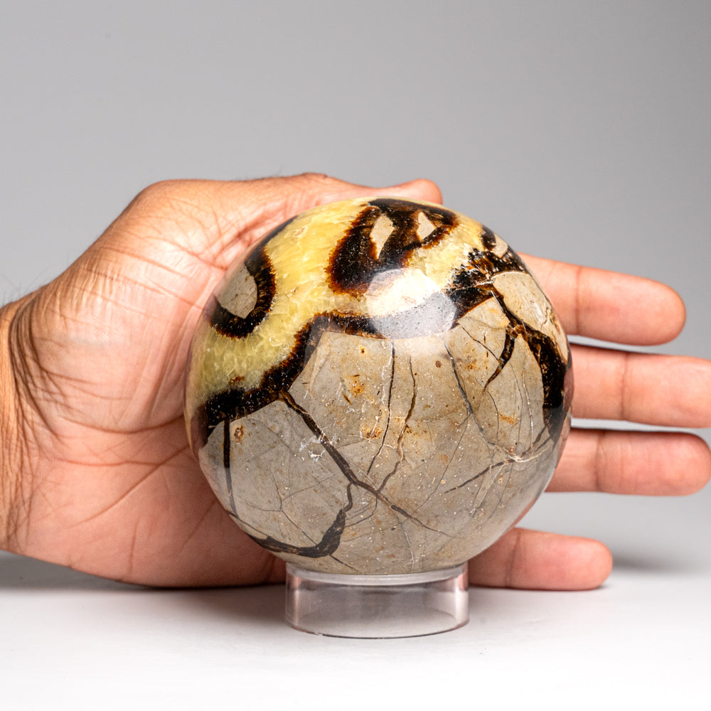 Genuine Polished Septarian Sphere from Madagascar (2.5 lbs)