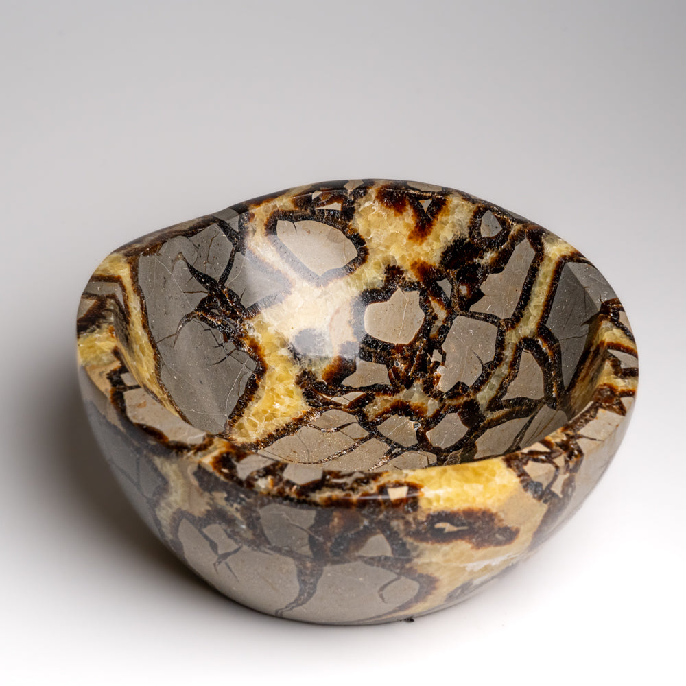 Genuine Polished Septarian Bowl from Madagascar (4.4 lbs)