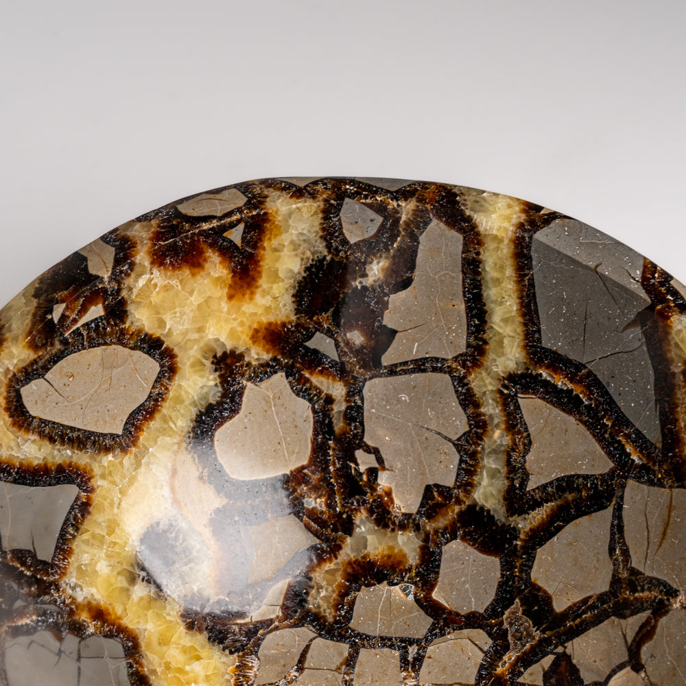 Genuine Polished Septarian Bowl from Madagascar (4.4 lbs)