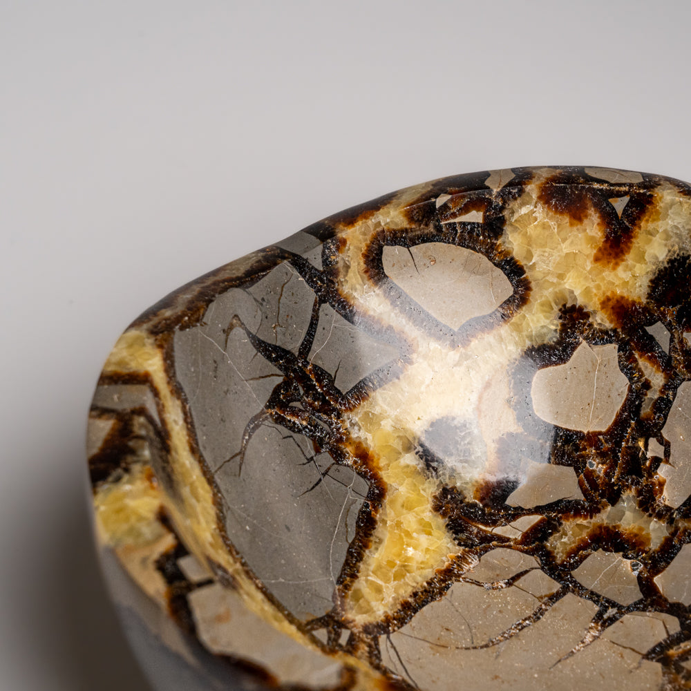 Genuine Polished Septarian Bowl from Madagascar (4.4 lbs)