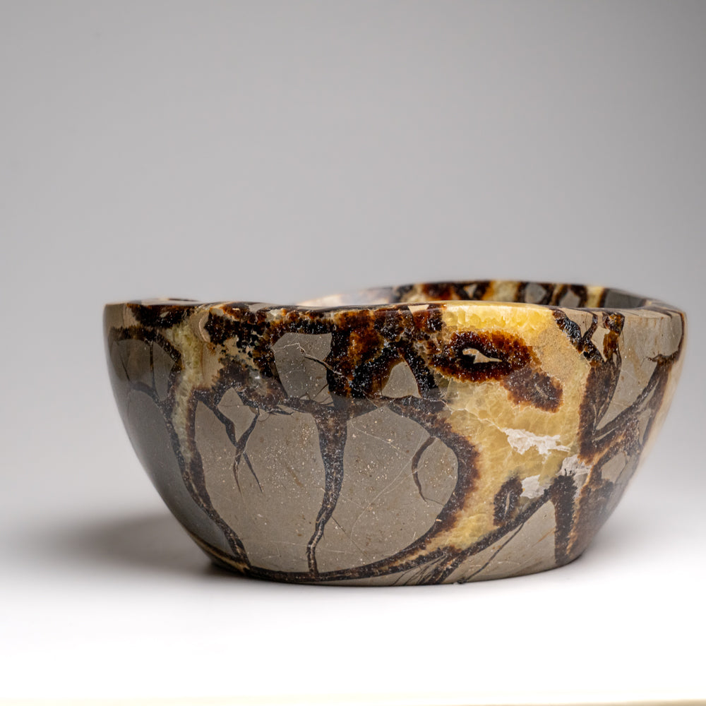 Genuine Polished Septarian Bowl from Madagascar (4.4 lbs)