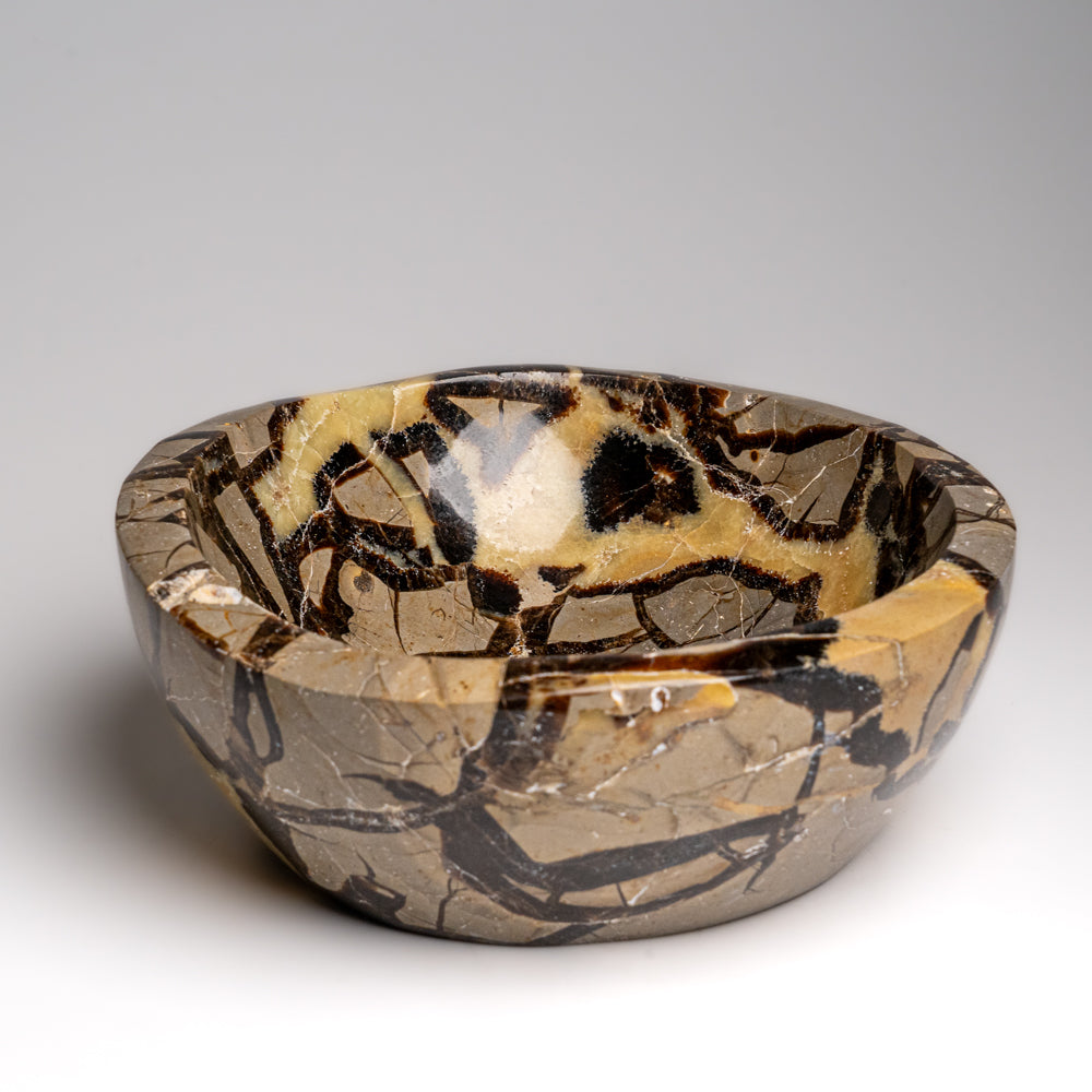 Genuine Polished Septarian Bowl from Madagascar (5.5 lbs)