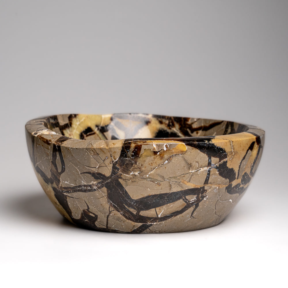 Genuine Polished Septarian Bowl from Madagascar (5.5 lbs)