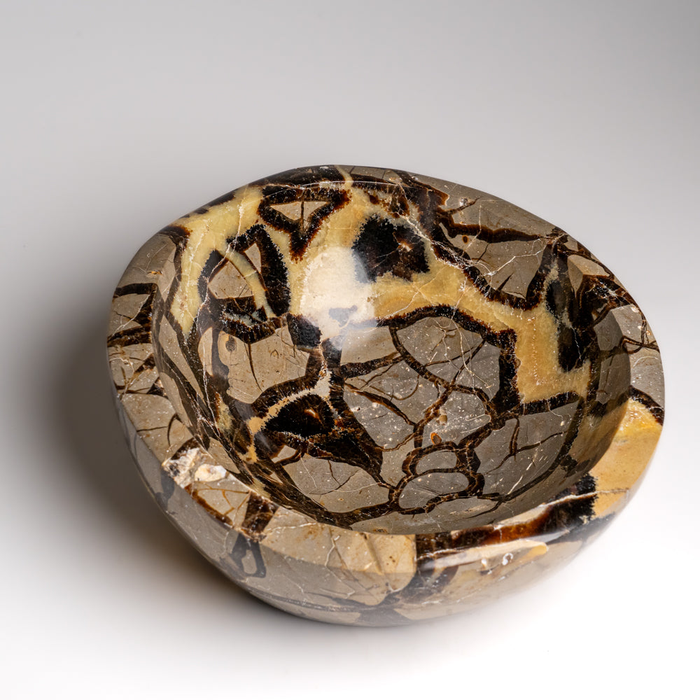 Genuine Polished Septarian Bowl from Madagascar (5.5 lbs)