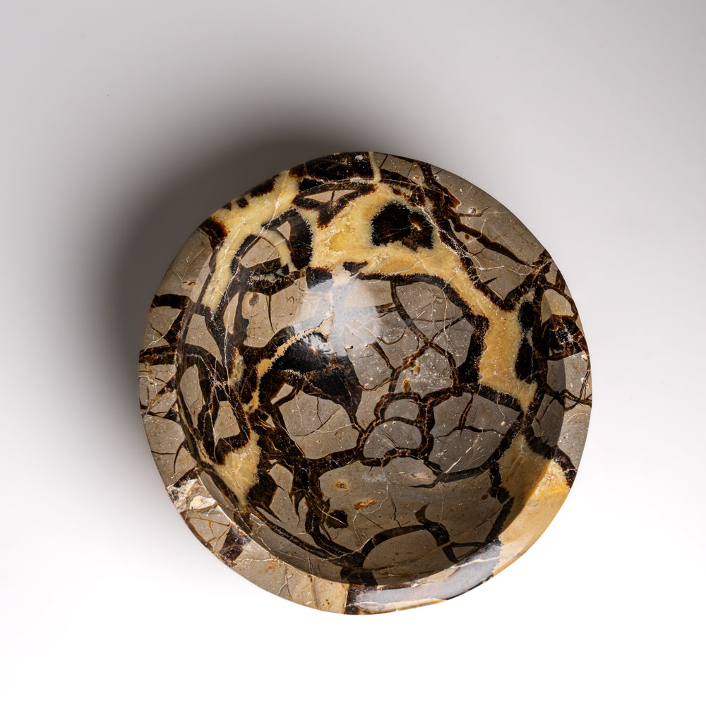 Genuine Polished Septarian Bowl from Madagascar (5.5 lbs)