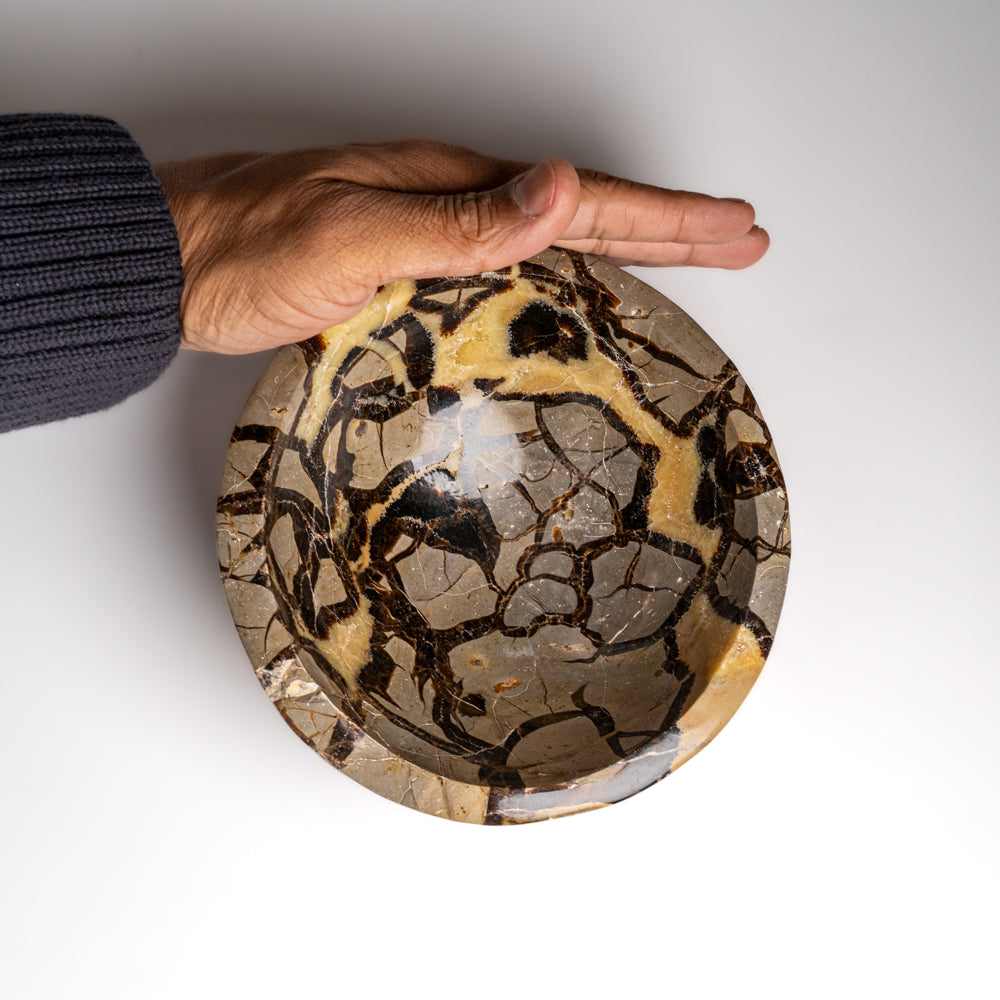 Genuine Polished Septarian Bowl from Madagascar (5.5 lbs)