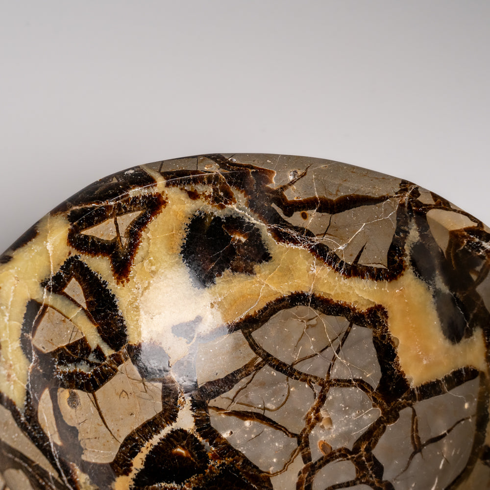 Genuine Polished Septarian Bowl from Madagascar (5.5 lbs)