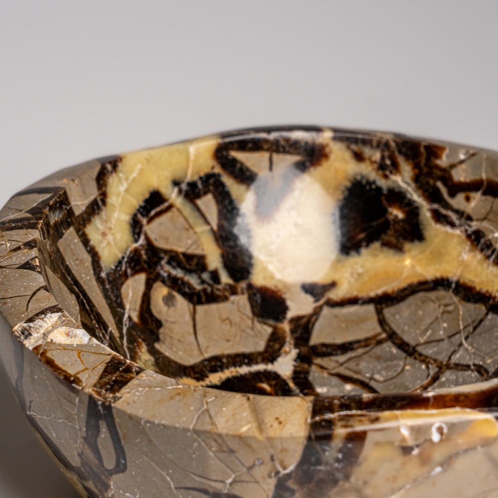 Genuine Polished Septarian Bowl from Madagascar (5.5 lbs)