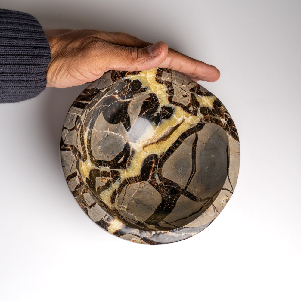 Genuine Polished Septarian Bowl from Madagascar (3.8 lbs)