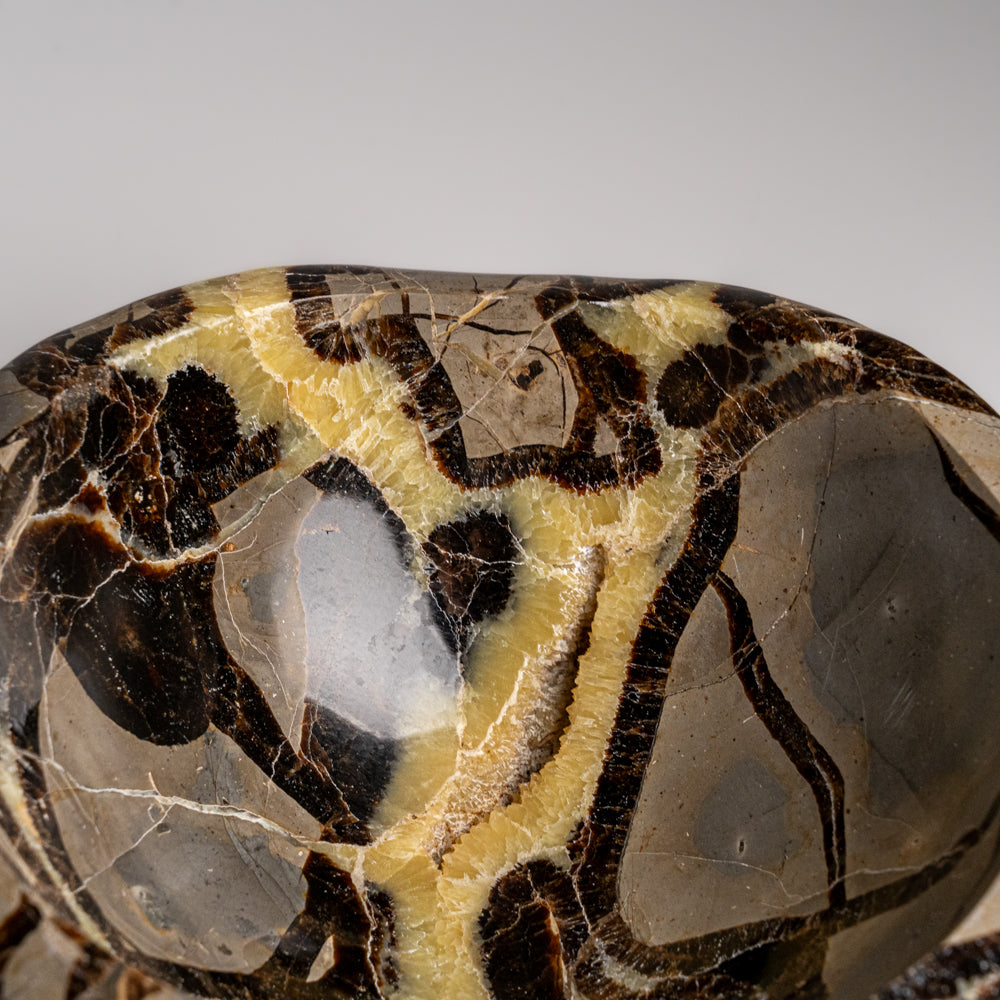 Genuine Polished Septarian Bowl from Madagascar (3.8 lbs)