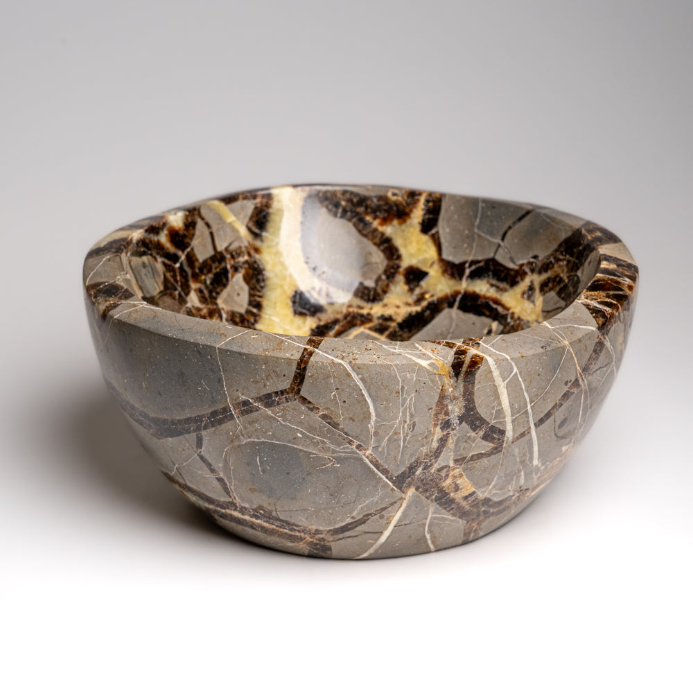 Genuine Polished Septarian Bowl from Madagascar (5 lbs)