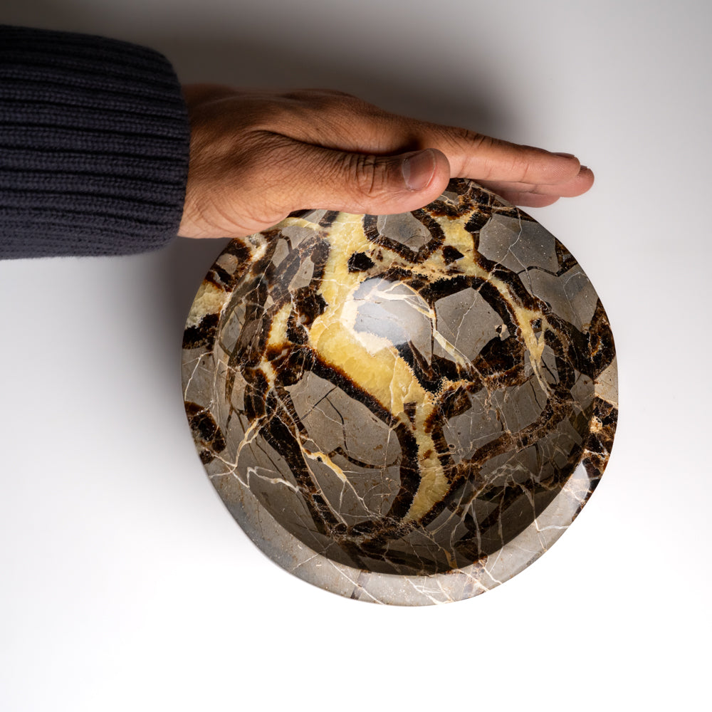 Genuine Polished Septarian Bowl from Madagascar (5 lbs)