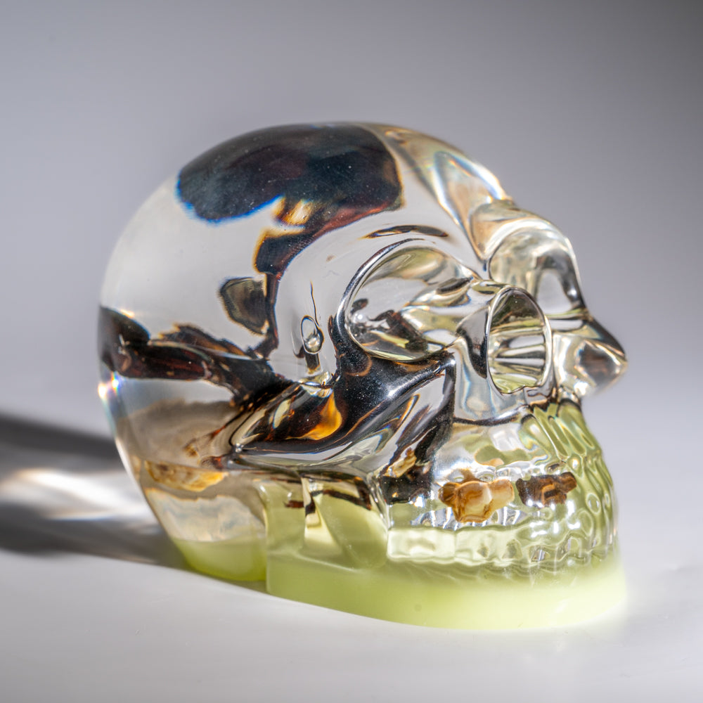 Genuine Reel Golden Scorpion in Acrylic Skull