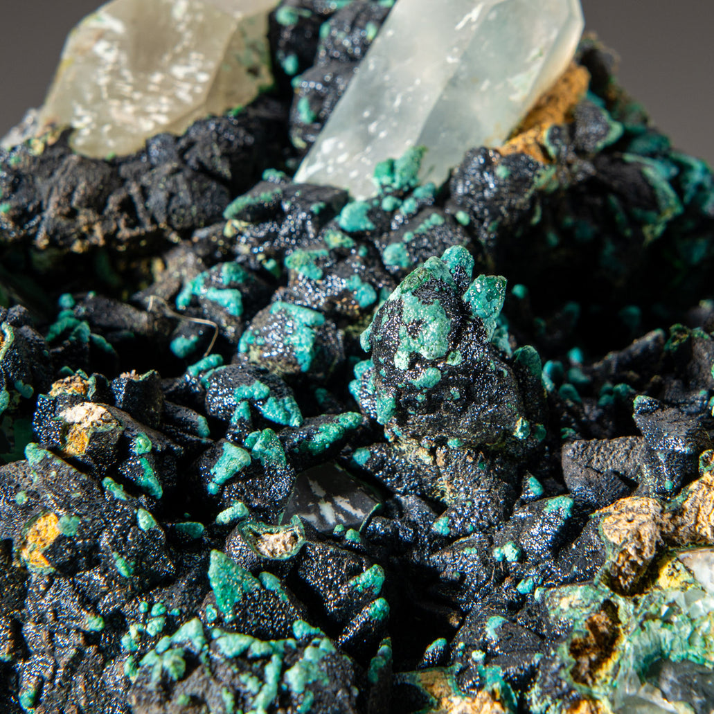 Chrysocolla | Hand-Selected Minerals | Astro Gallery of Gems