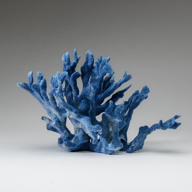 Genuine Blue Ridge Coral (5", 1 lb) - Astro Gallery of Gems