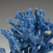 Genuine Blue Ridge Coral (5", 1 lb) - Astro Gallery of Gems