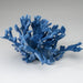 Genuine Blue Ridge Coral (5", 1 lb) - Astro Gallery of Gems