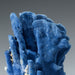 Genuine Blue Ridge Coral (5", 2.5 lbs) - Astro Gallery of Gems
