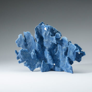 Genuine Blue Ridge Coral (8", 2 lbs) - Astro Gallery of Gems