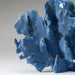 Genuine Blue Ridge Coral (8", 2 lbs) - Astro Gallery of Gems