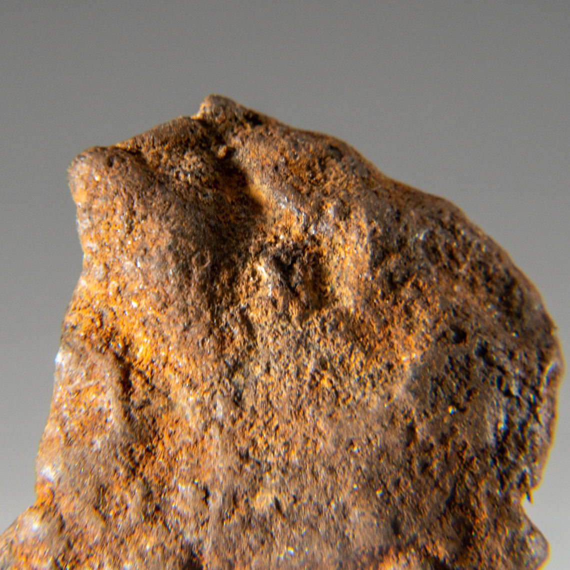 Meteorites — Page 2 — Astro Gallery of Gems