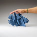 Genuine Blue Ridge Coral (8", 2 lbs) - Astro Gallery of Gems