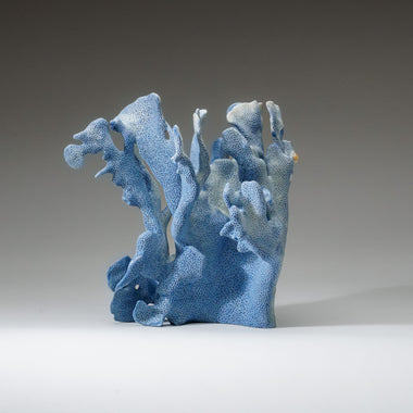 Genuine Blue Ridge Coral (8", 3 lbs) - Astro Gallery of Gems