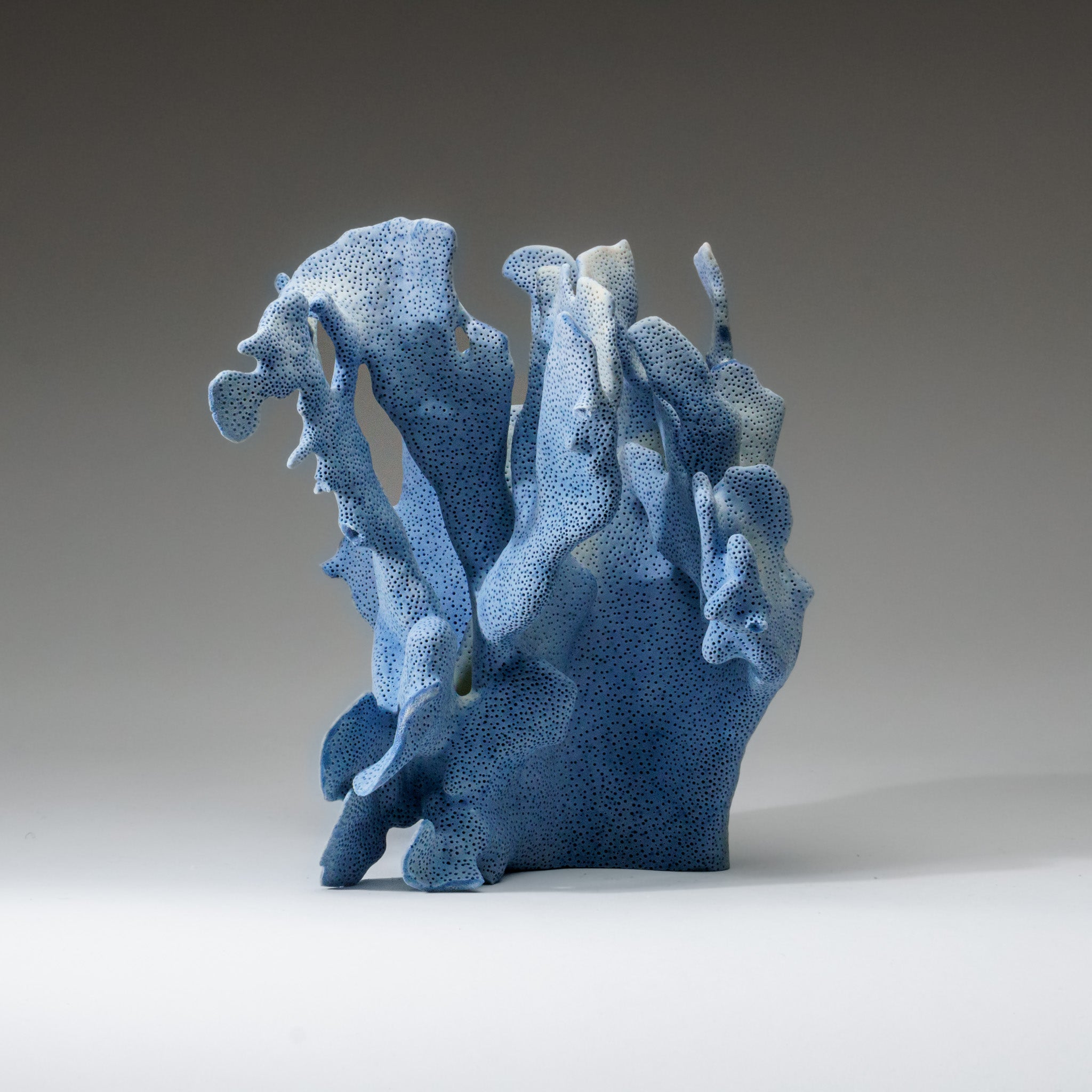 Genuine Blue Ridge Coral (8", 3 lbs) - Astro Gallery of Gems