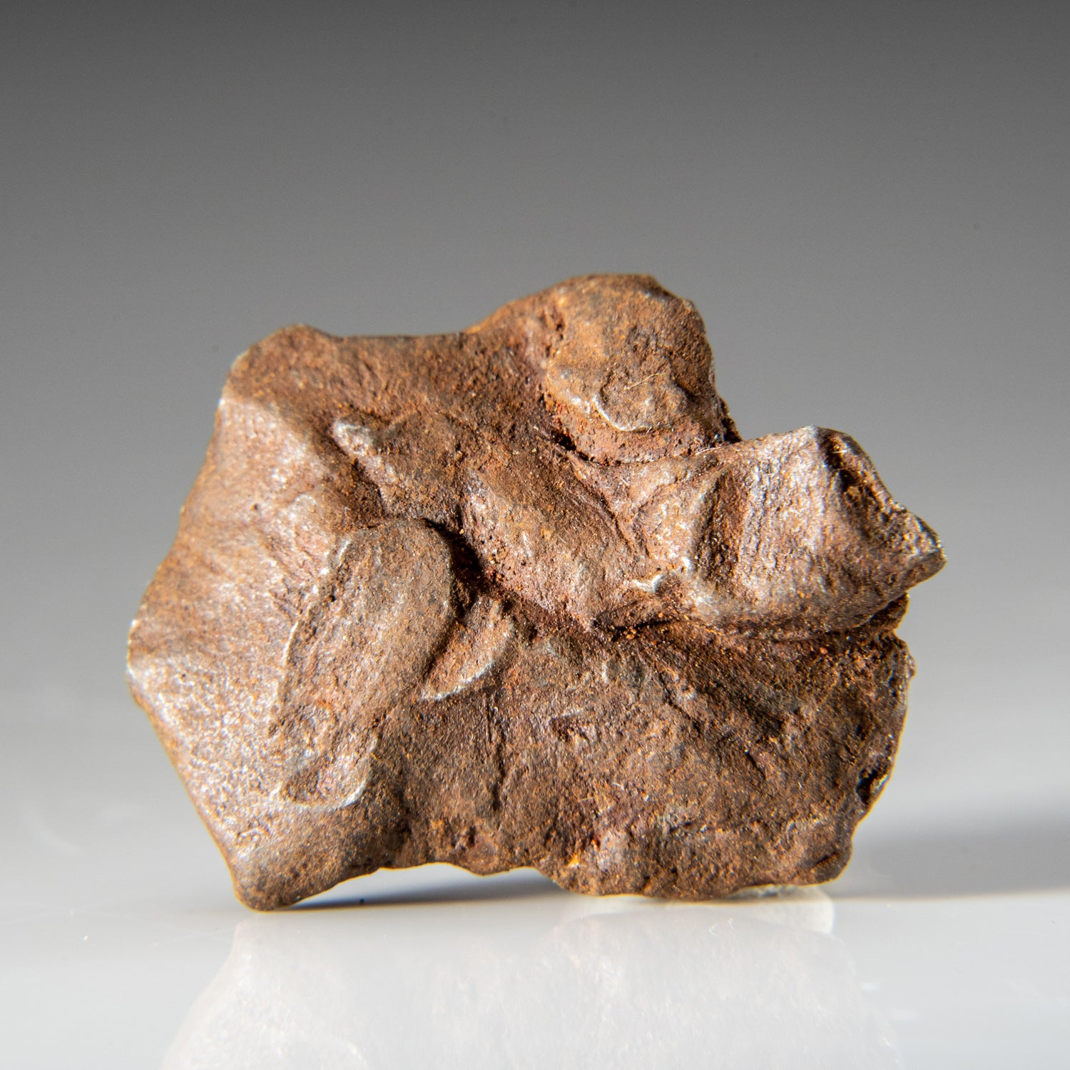Genuine Gebel Kamil Meteorite from Egypt (24.4 grams)