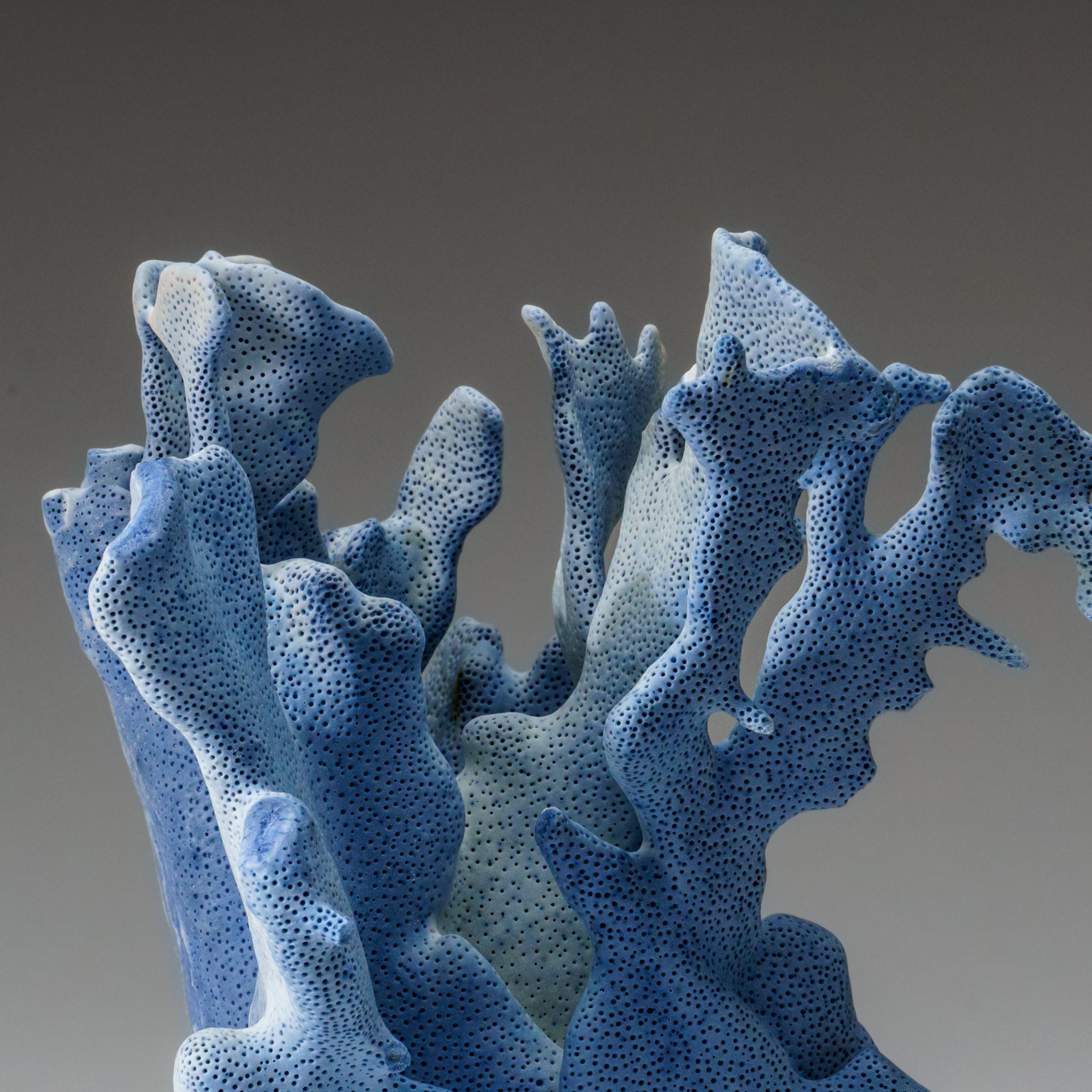 Genuine Blue Ridge Coral (8", 3 lbs) - Astro Gallery of Gems