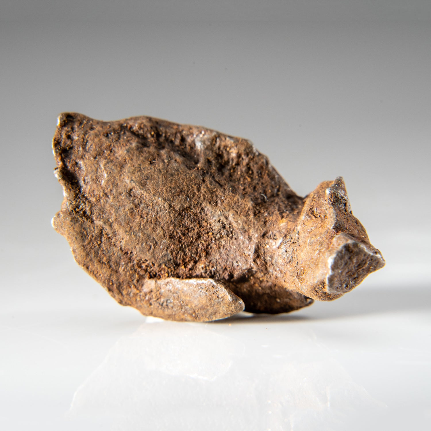 Genuine Gebel Kamil Meteorite from Egypt (23 grams)