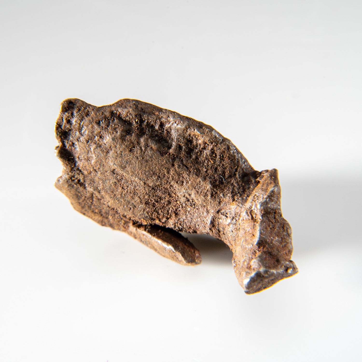 Genuine Gebel Kamil Meteorite from Egypt (23 grams)