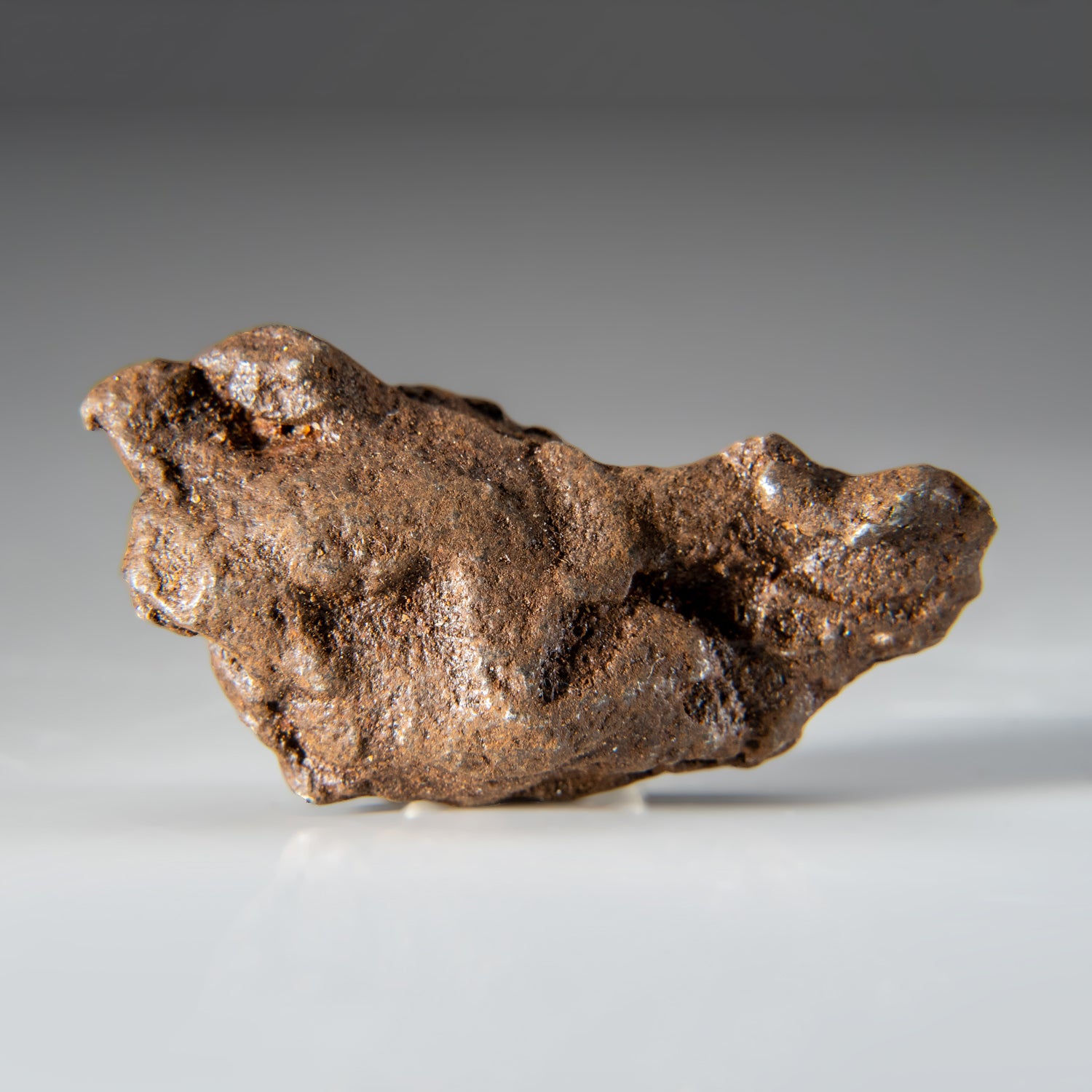 Genuine Gebel Kamil Meteorite from Egypt (46.5 grams)