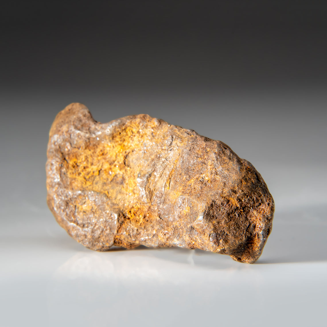 Meteorites — Astro Gallery of Gems