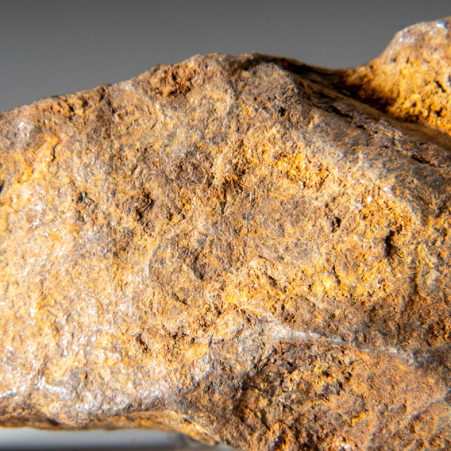 Genuine Gebel Kamil Meteorite from Egypt (148.9 grams)
