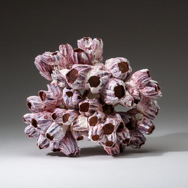 Genuine Purple Acorn Barnacle Cluster (1.5 lbs) - Astro Gallery of Gems