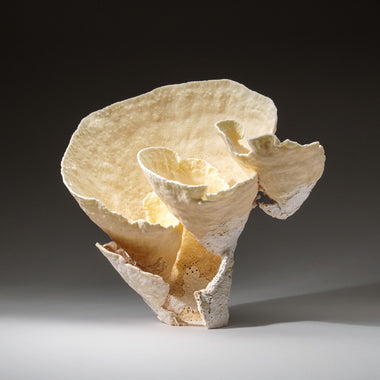 Genuine Lettuce Coral (3 lbs) - Astro Gallery of Gems