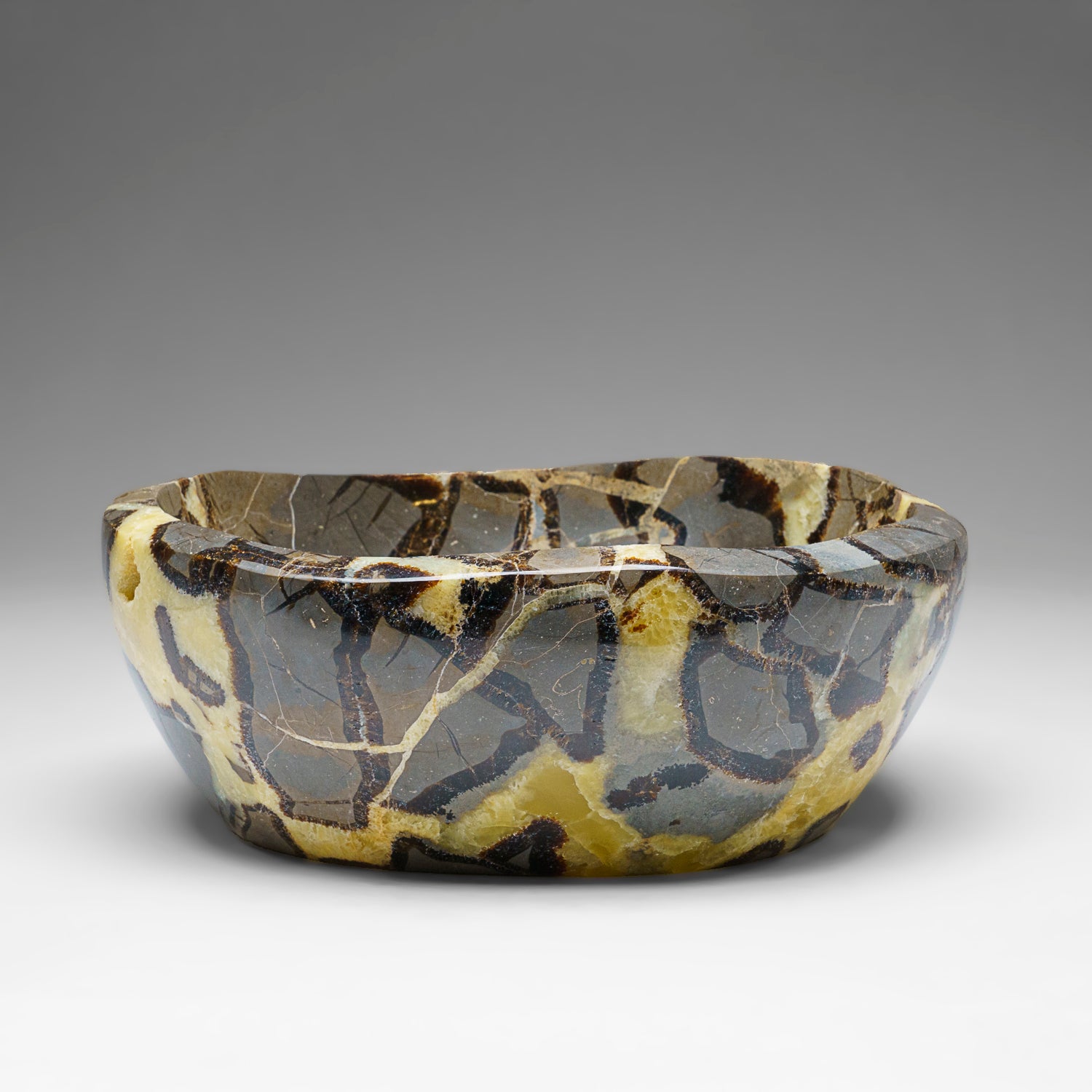 Genuine Polished Septarian Bowl from Madagascar (4.4 lbs)