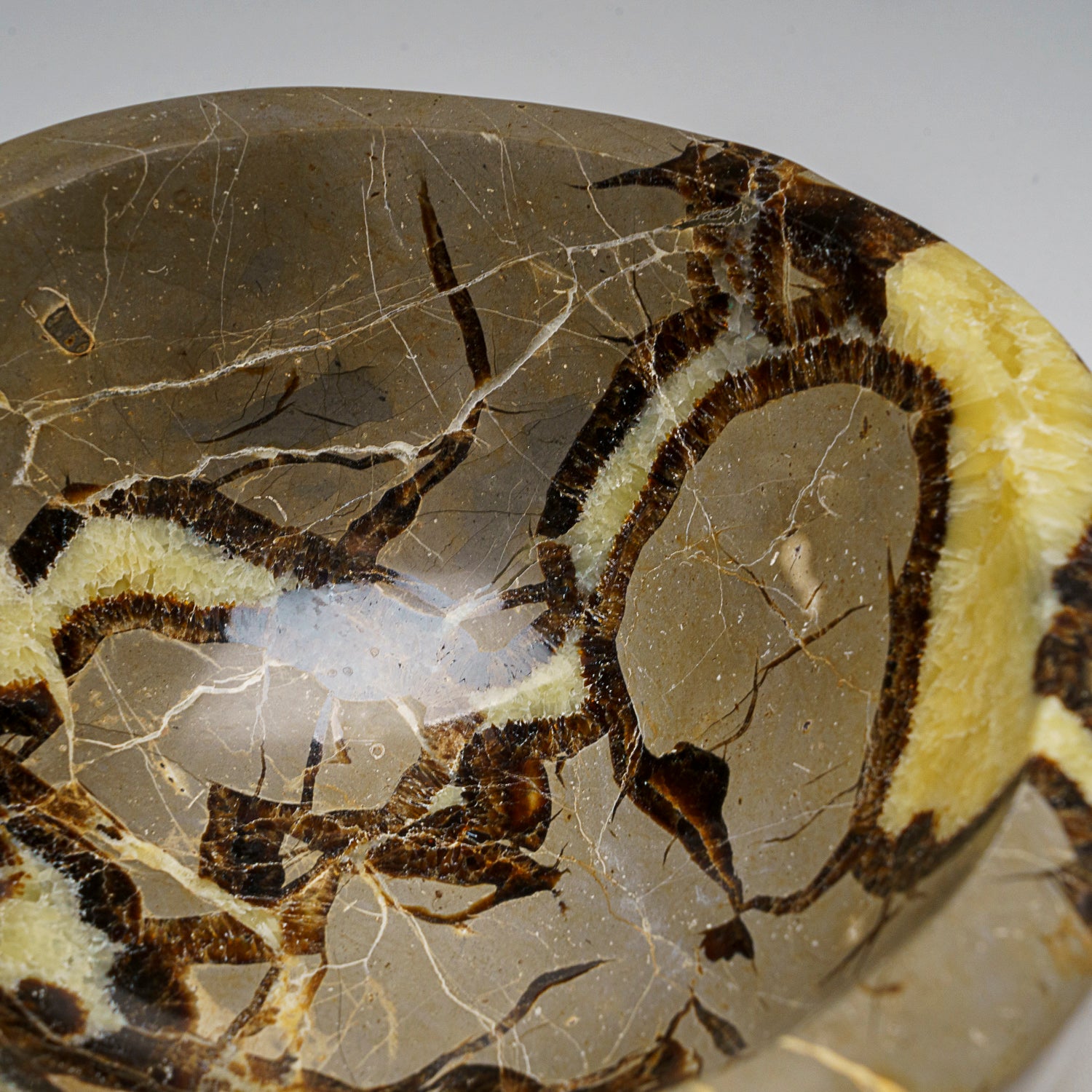 Genuine Polished Septarian Bowl from Madagascar (3.7 lbs)