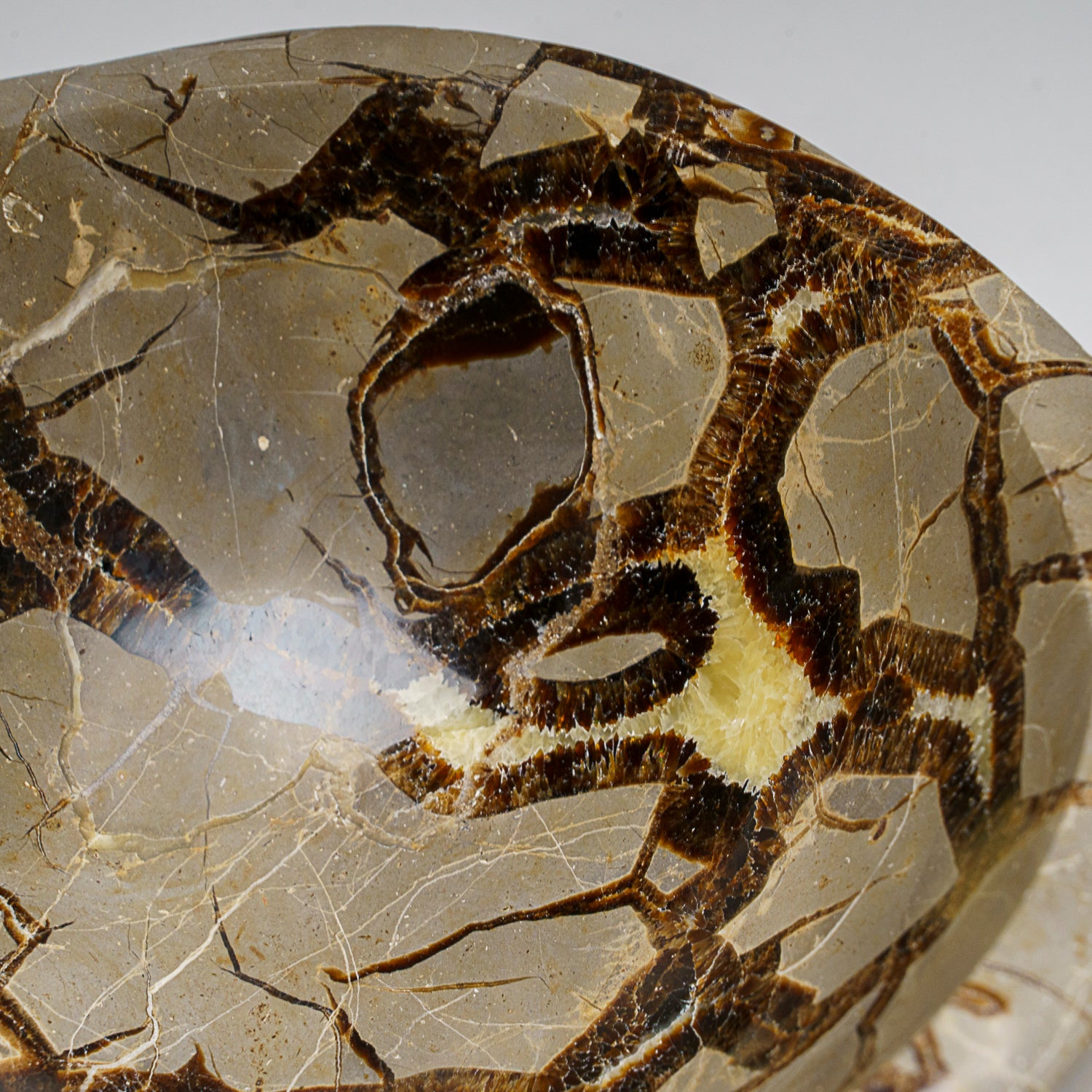 Genuine Polished Septarian Bowl from Madagascar (4.3 lbs)