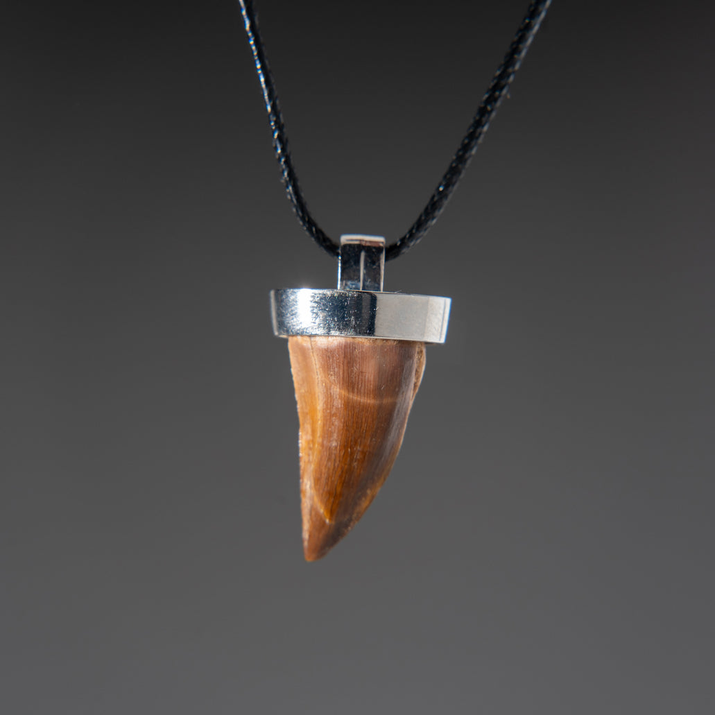 Mosasaurus Tooth Starborn Products DesertCart Fossil Necklace