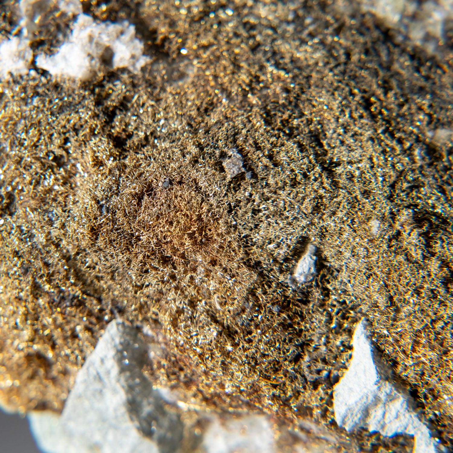 Sponge Gold from Olinghouse Mine, 6030 bench, 813 pit, Washoe County, Nevada