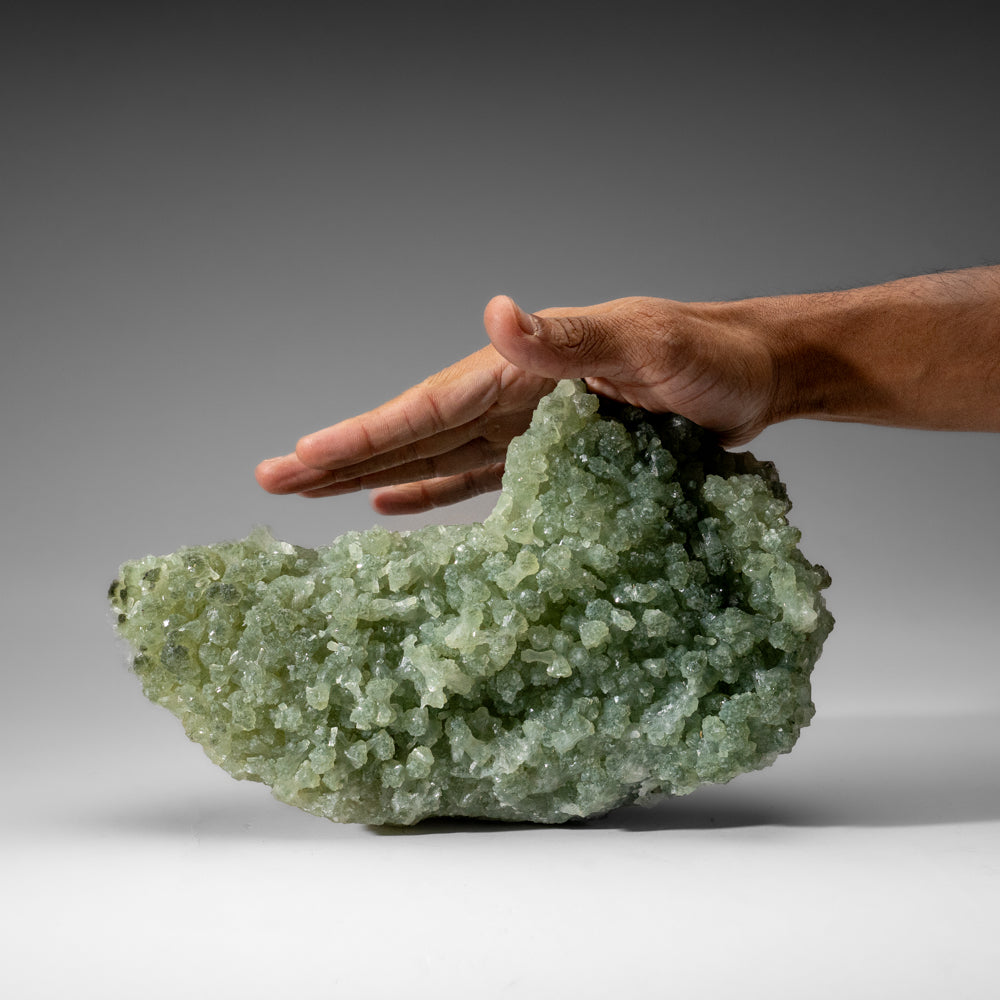 Prehnite from Riker Hill, Livingston, Essex County, New Jersey