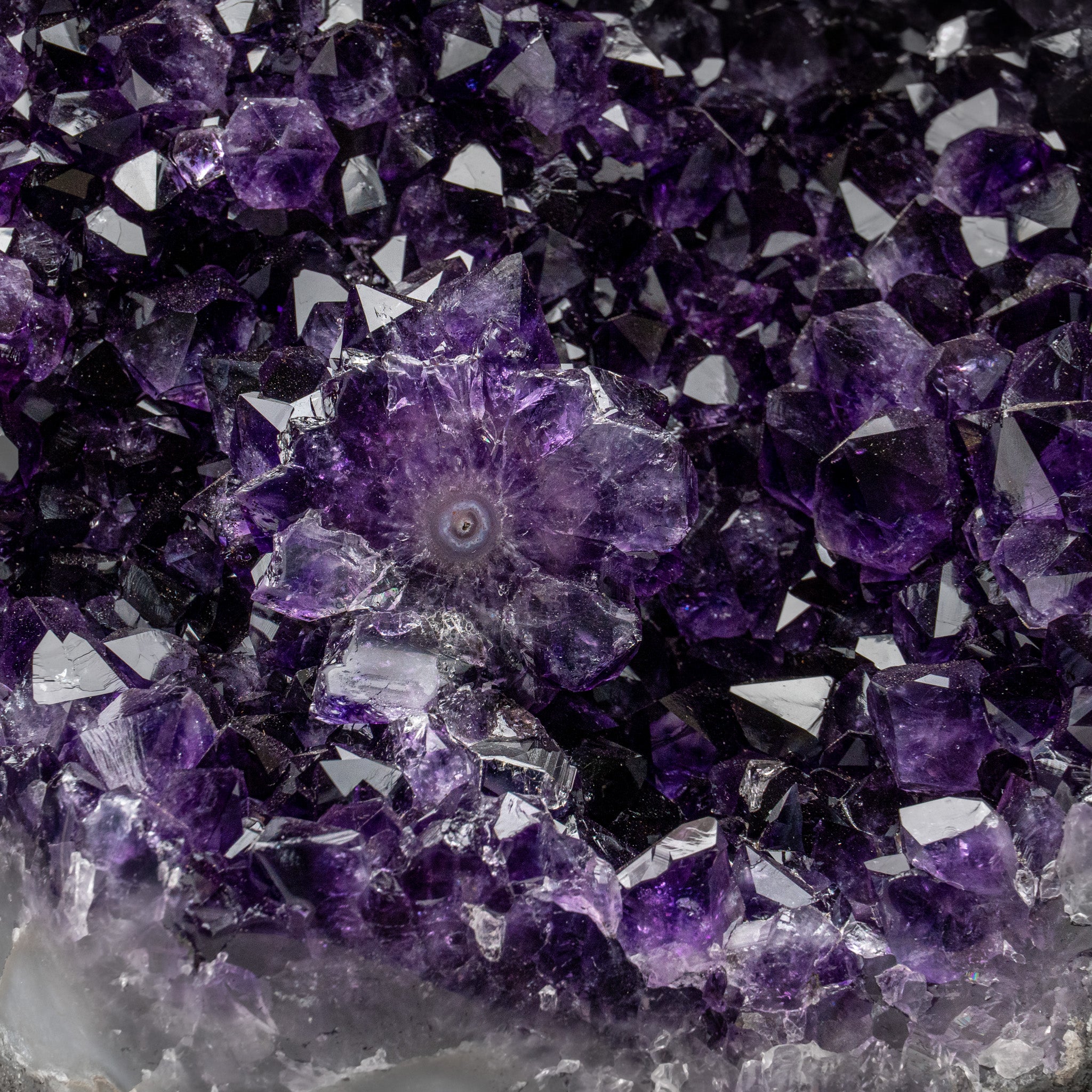 Genuine Amethyst Cluster Geode from Brazil (17.5 lbs)