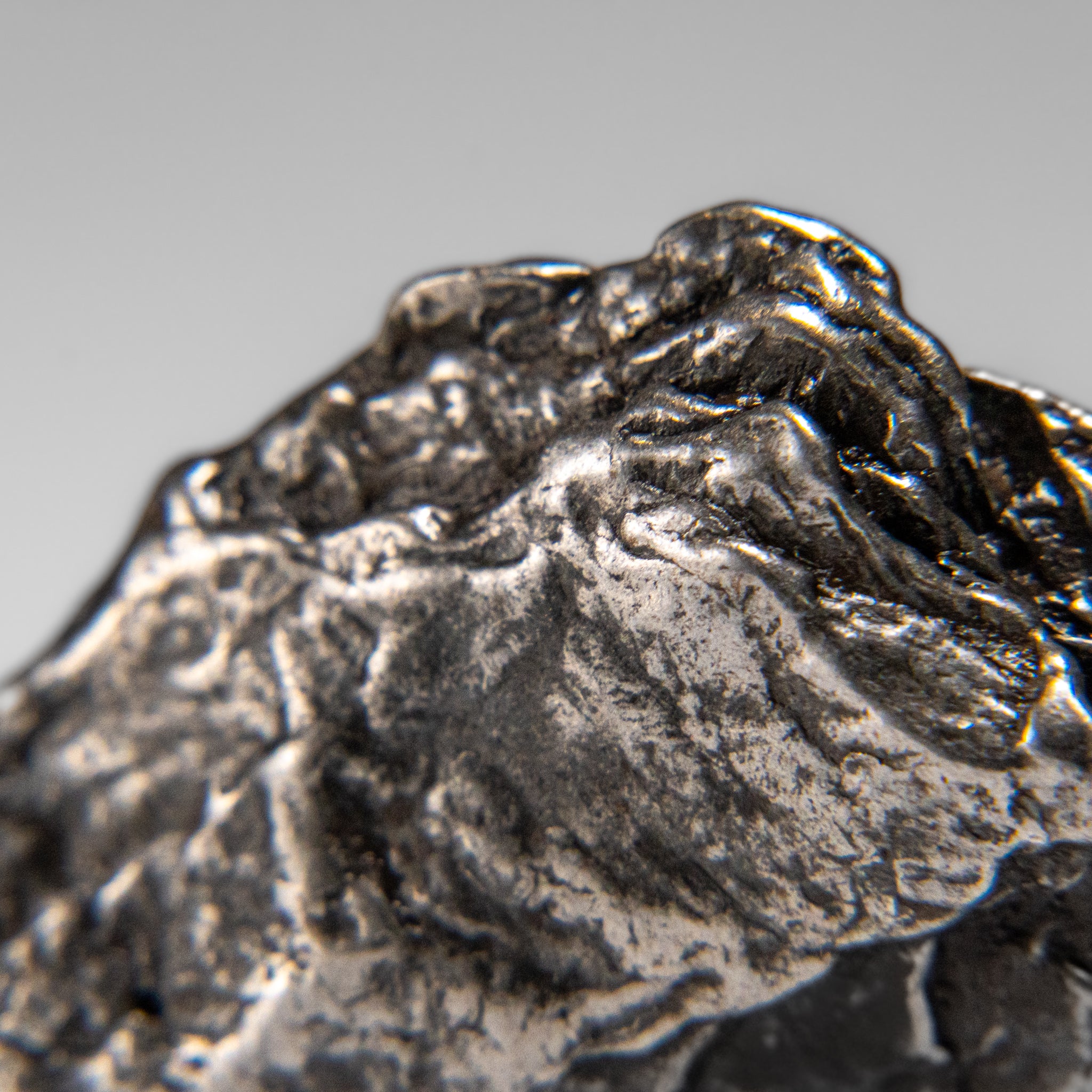 Genuine Meteorite From Campo del Cielo, Argentina (23.7 grams)