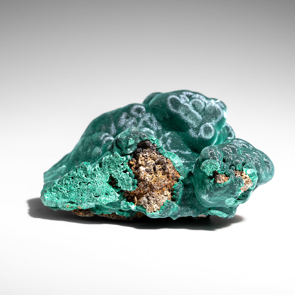 Malachite from Shaba Copper Belt, Katanga (Shaba) Province, Democratic Republic of the Congo (Zaire)